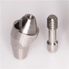 Zest Abutments